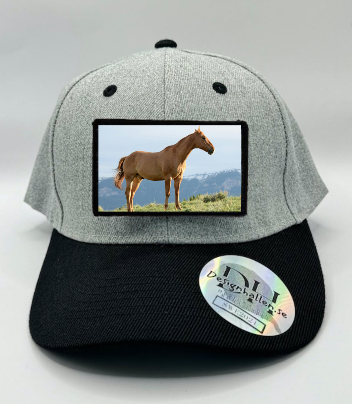 BE10 Pferd